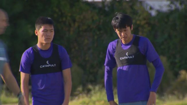 日本农村寡妇一级毛片