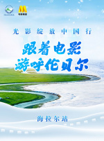 倾辛最经典4部免费观看