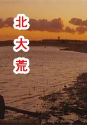 免费最大但人文艺术照