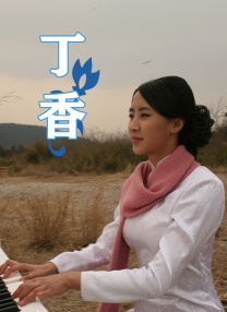 日韩一区二区在线免费观看